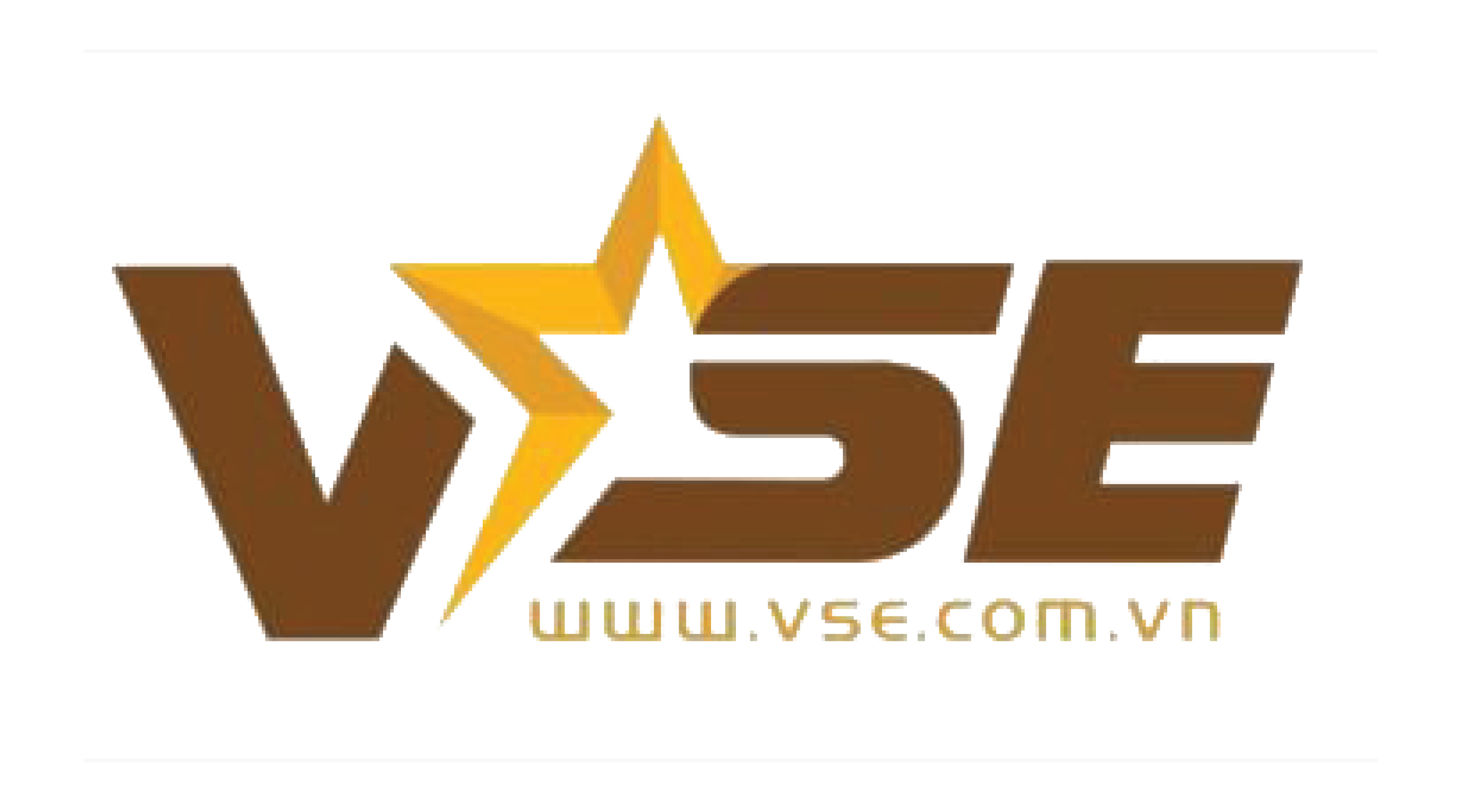 VSE