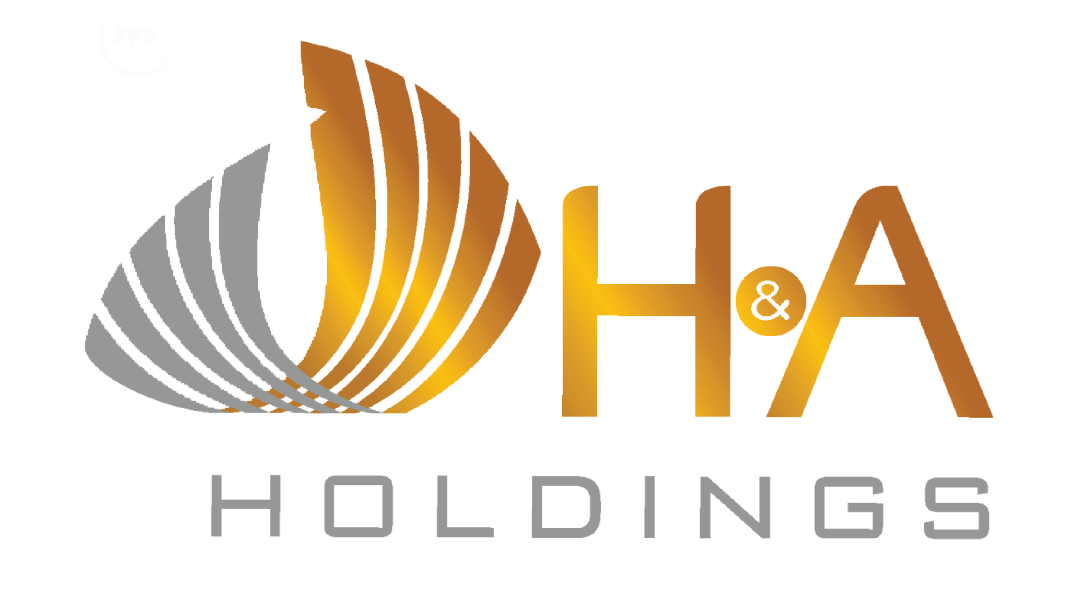 HA Holding